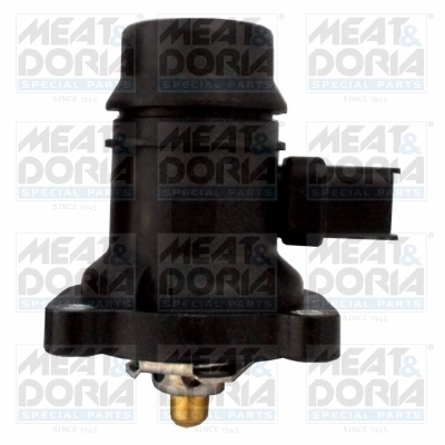 Thermostat, coolant